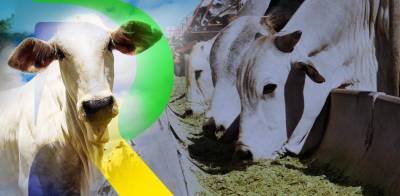 REGISTRO DE ESTEBELECIMENTOS E PRODUTOS VETERINÁRIOS NO MAPA