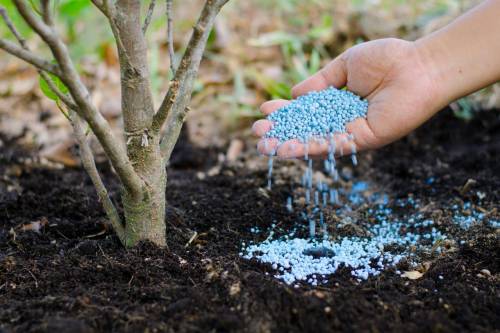 COMO IMPORTAR FERTILIZANTES?