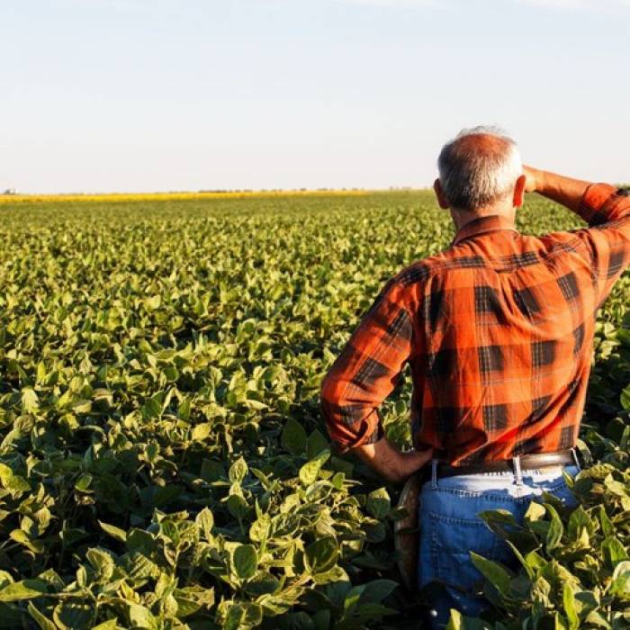 Mapa vai apoiar seguro paramétrico como opção para o produtor rural proteger suas atividades